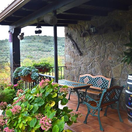 Casa Rural Los Olivos Sotoserrano Exterior foto